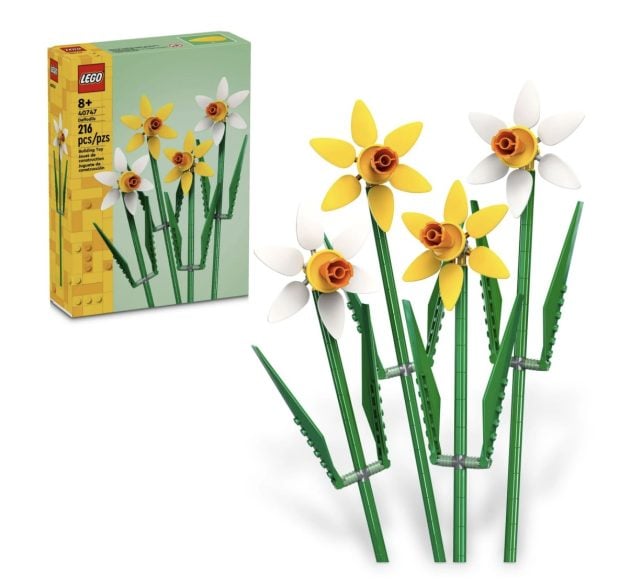 Presente de celebração LEGO Narcisos